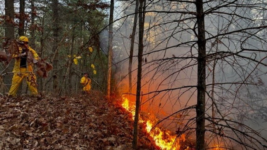 Georgetown Fire battled several brush fires that spanned about ten acres of Georgetown-Rowley State Forest Tuesday evening and into Wednesday morning.