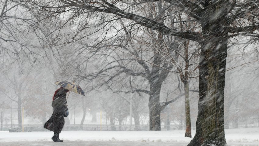 Wintry scene showing single figure with umbrella walking between trees amd battling the snow and wind.