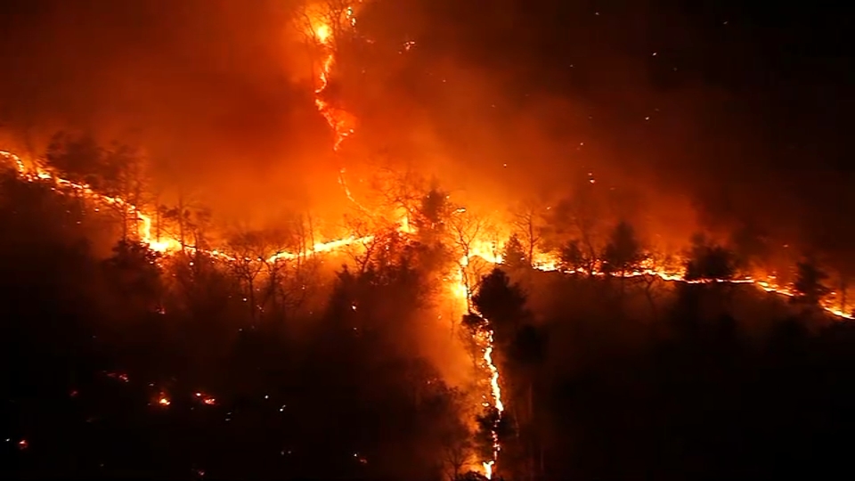 MA brush fire updates: Lynn, Reading have big blazes amid drought – NBC ...
