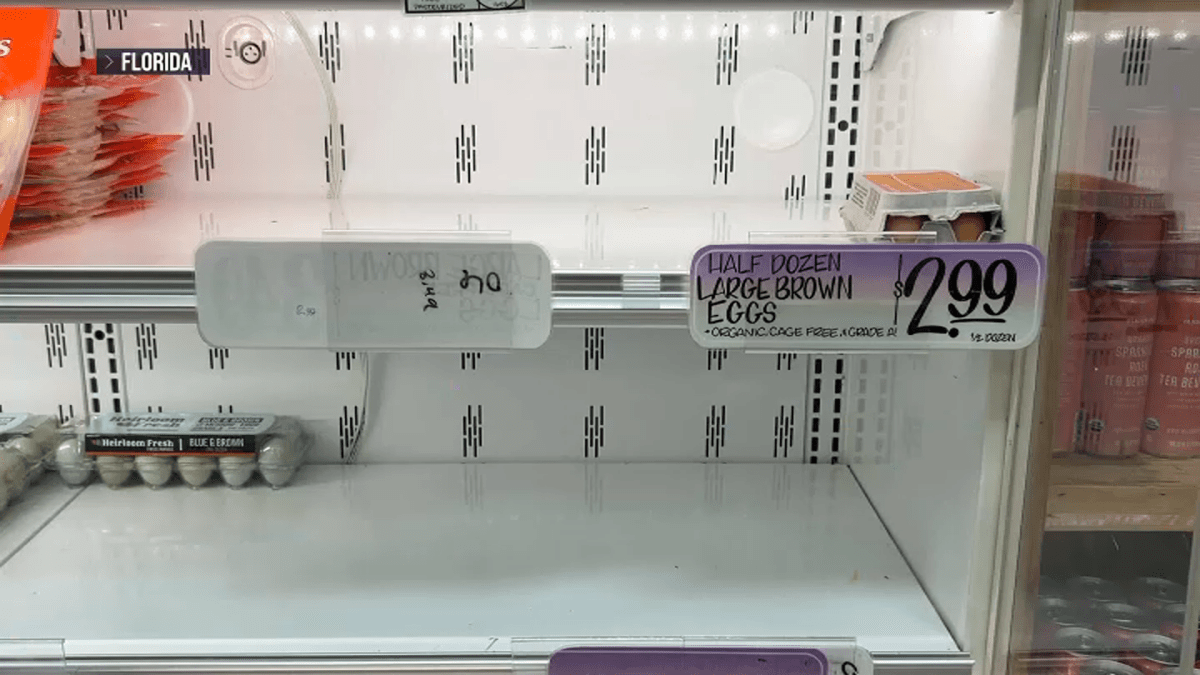 Egg shortage leads to empty shelves in several US states NBC Boston