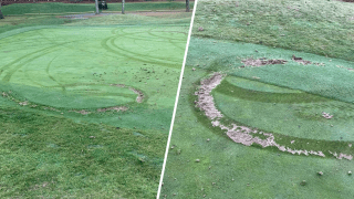 Greens on a golf course with tire marks throughout