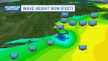 A graphic map showing wave height off the coast of New England on Thursday, Nov. 14, 2024.