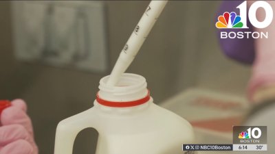 Why Massachusetts is ahead the curve on testing milk for bird flu