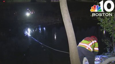 Oil spill in Muddy River is threatening wildlife