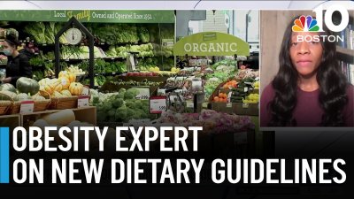 Obesity expert discusses new proposal for U.S. dietary guidelines