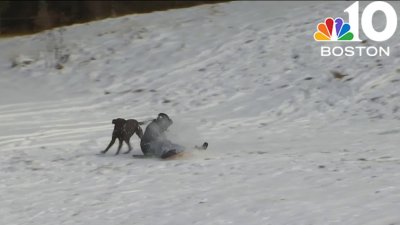 ‘LET THEM SLED': Debate pits flowers vs. sledders in Wellesley, Mass.