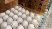 Eggs, Costco, Queens, NYC