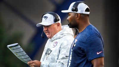 Jerod Mayo and Alex Van Pelt