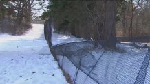 A torn-down fence next to a snow-covered hill at the Elm Hill Reservation in Wellesley, Massachusetts.