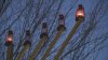 Boston kicks off Hanukkah with menorah lighting on the Common