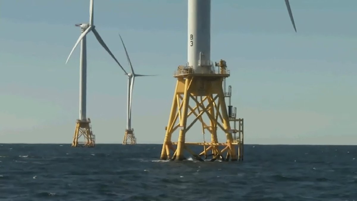 Scientists dispute Trump’s claims that MA wind farms kill whlaes