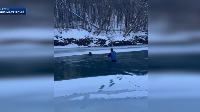 Chris MacRitchie wading to reach a dog stuck in the freezing Winooski River in Berlin, Vermont.