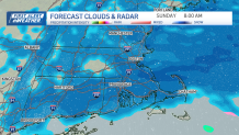 A map showing snowfall across Greater Boston at 8 a.m. Sunday, Feb. 9, 2025.