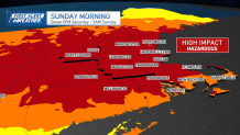 A map showing where travel will be hazardous in New England late Saturday and early Sunday, Feb. 8-9, 2025. Almost all of New England will have dangerous driving.
