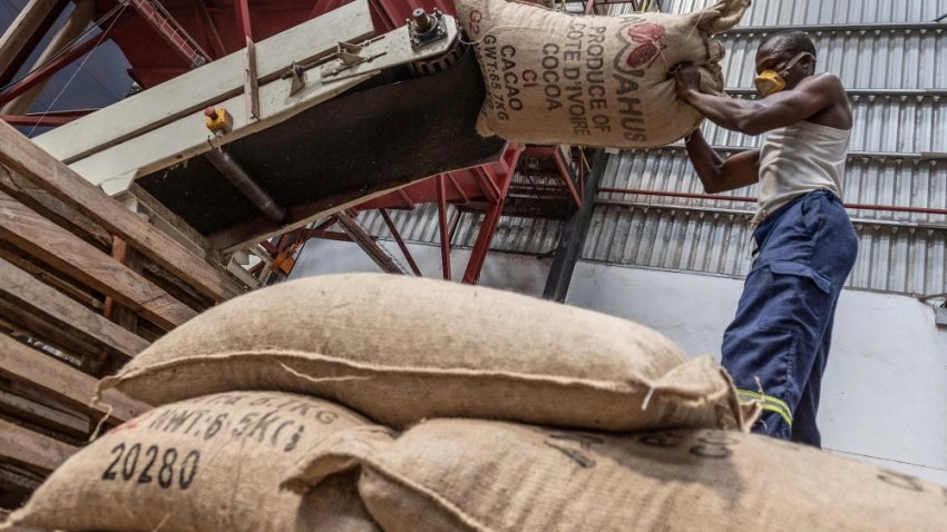 A cocoa processing plant in Ivory Coast in 2022. West African growers have struggled with disruptive weather in recent months.