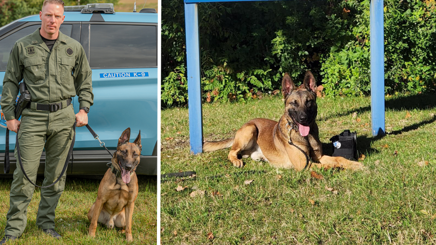 Two images of Maine State Police dog Preacher, who was fatally shot at the end of a standoff in Portage.