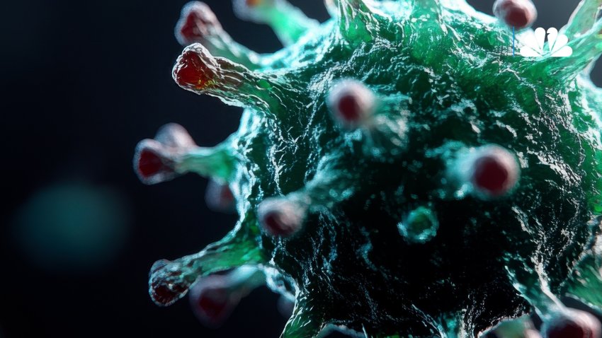 What is hantavirus?