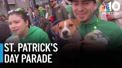 Revelers celebrate St. Patrick's Day in South Boston