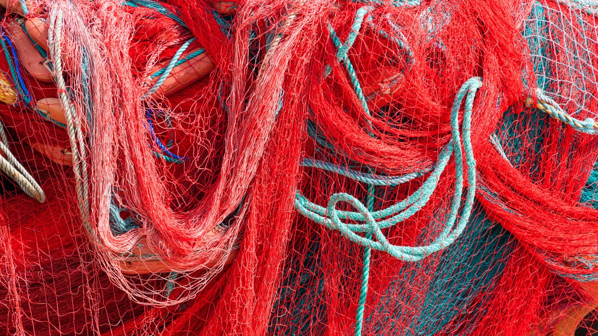 Update on body caught in fishing net off Mass.: No foul play – NBC Boston