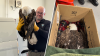 Injured bald eagle rescued from I-495 in Massachusetts