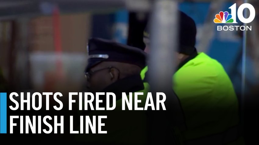 Boston police officer fires shot at dog near marathon finish line