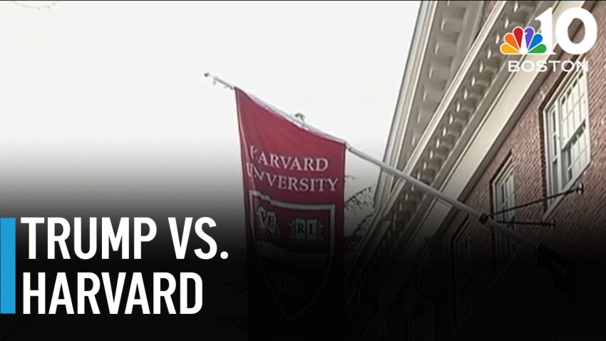 Harvard international student program faces threat from feds
