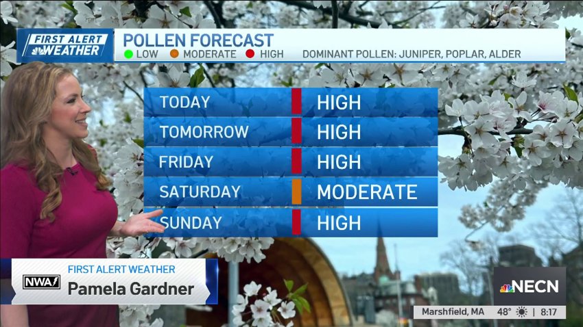 Forecast: High pollen count until rain Saturday