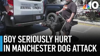 8-year-old boy seriously injured in dog attack in Manchester, NH