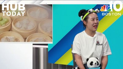 PandaFest is coming to Boston!