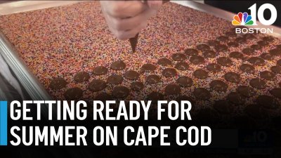 Is Cape Cod ready for the summer rush?