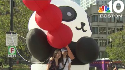 Panda Fest at Boston City Hall this weekend