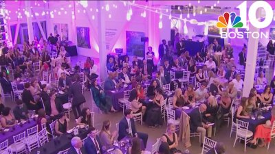 Annual Reach for the Stars gala supports domestic violence survivors