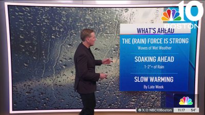 Forecast: The (rain) force is strong