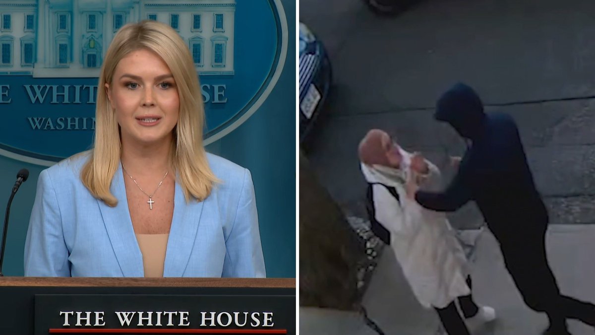 White House slams federal judge’s order to release Tufts student from ...