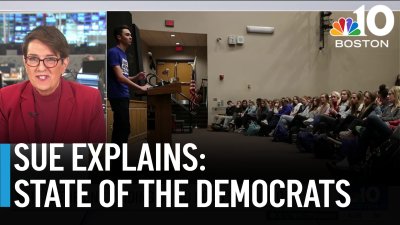 Analysis: The state of the Democratic party