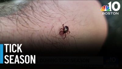 Staying safe during tick season