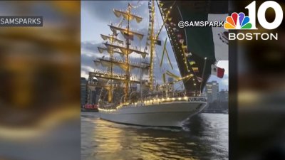 Ship in Brooklyn Bridge crash was ‘a highly professional operation,' expert says