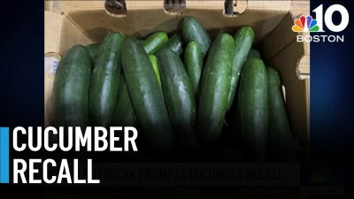 Salmonella outbreak prompts cucumber recall