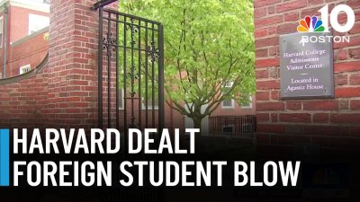 Trump admin. bars Harvard from enrolling international students