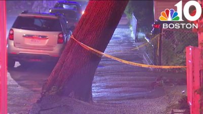 Nor'easter downs trees in Malden,Brookline