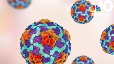 Cape Cod restaurant says Hepatitis A infection was not contracted there, no reported spread