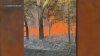 Brush fire knocked down after sending smoke into sky above Cape Cod military base