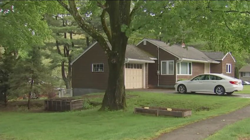 A single-family home with a white car in the driveway. There is a large tree to the left of the house.