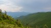NY hikers reported their companion died. Turns out, they were high on mushrooms