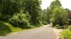 State police killed bear in Connecticut