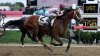 Journalism wins the 150th Preakness Stakes in swift last-second push