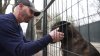 ‘Mistreatment of K9 heroes': Lawsuit accuses Seekonk employees of triggering dogs' PTSD
