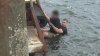 ‘Can he swim?' Man jumps into water in Quincy to rescue person