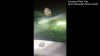 Dramatic rescue after fishing boat capsizes off Hyannisport coast
