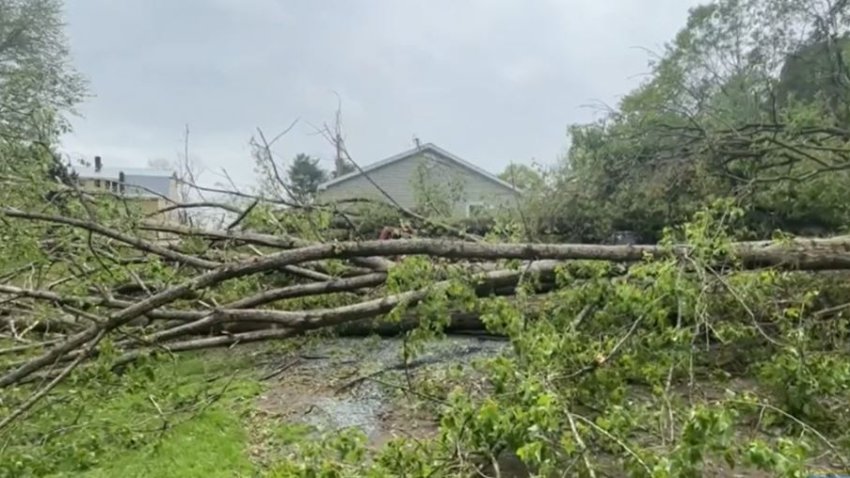 Fallen trees lie in front of a building in Vermont